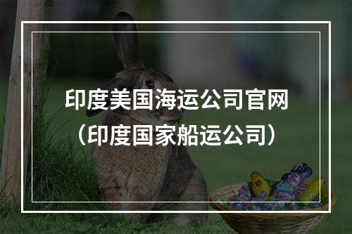 印度美国海运公司官网（印度国家船运公司）