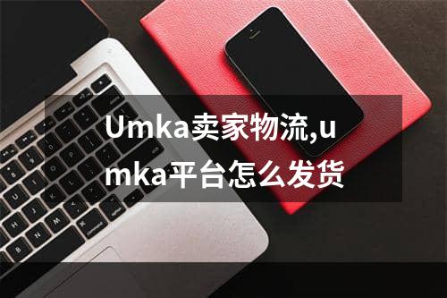 Umka卖家物流,umka平台怎么发货