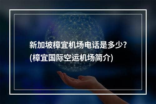 新加坡樟宜机场电话是多少?(樟宜国际空运机场简介)