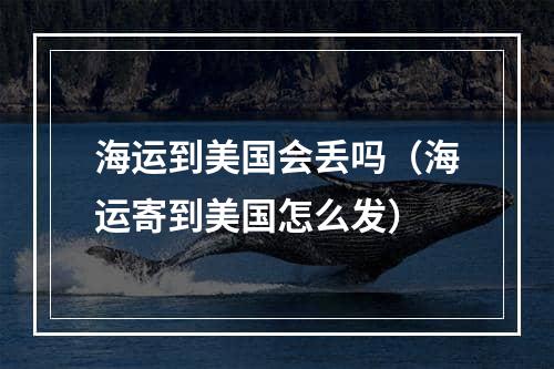 海运到美国会丢吗（海运寄到美国怎么发）