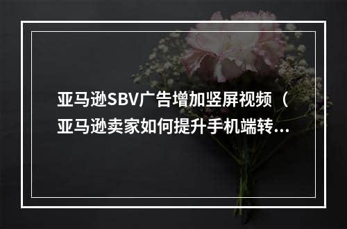 亚马逊SBV广告增加竖屏视频（亚马逊卖家如何提升手机端转化率）