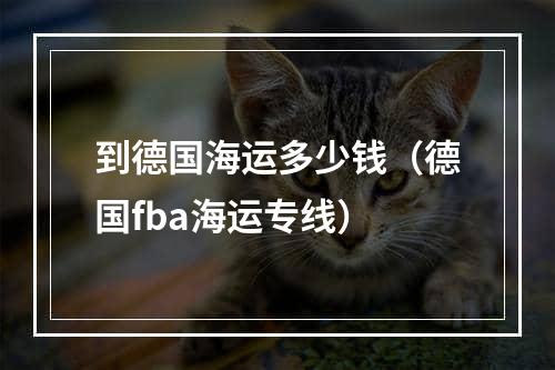 到德国海运多少钱（德国fba海运专线）