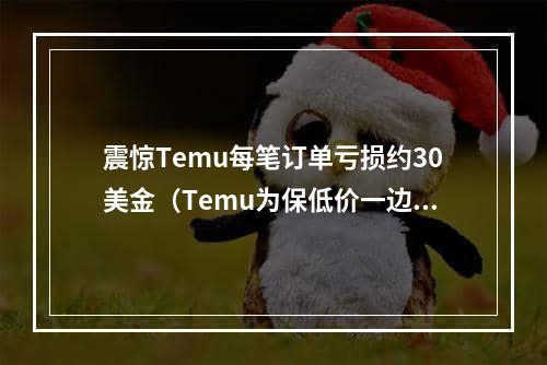 震惊Temu每笔订单亏损约30美金（Temu为保低价一边补贴运费另一边压低卖价）