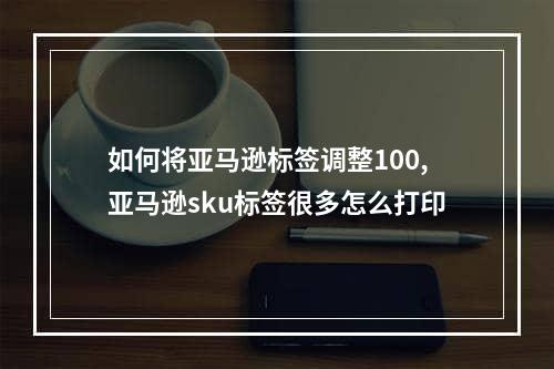 如何将亚马逊标签调整100,亚马逊sku标签很多怎么打印