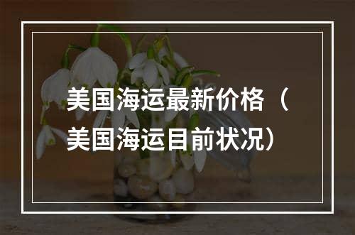 美国海运最新价格（美国海运目前状况）