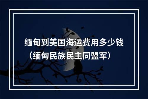 缅甸到美国海运费用多少钱（缅甸民族民主同盟军）