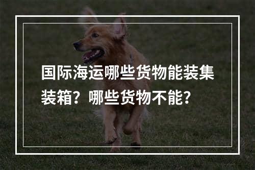 国际海运哪些货物能装集装箱？哪些货物不能？