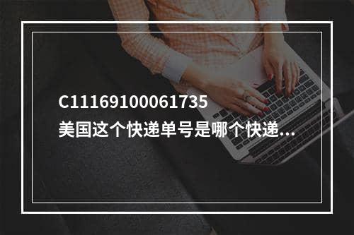 C11169100061735美国这个快递单号是哪个快递的,美国顺丰快递单号查询