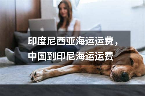 印度尼西亚海运运费，中国到印尼海运运费