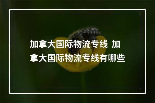 加拿大国际物流专线  加拿大国际物流专线有哪些