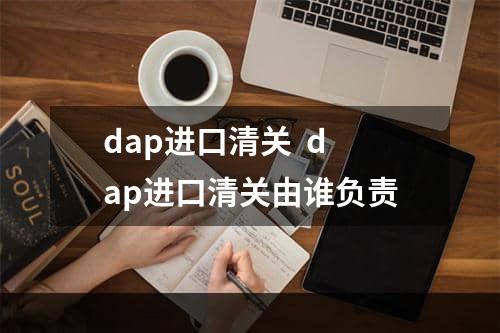 dap进口清关  dap进口清关由谁负责