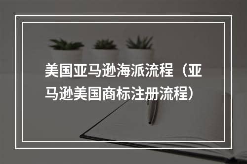 美国亚马逊海派流程（亚马逊美国商标注册流程）