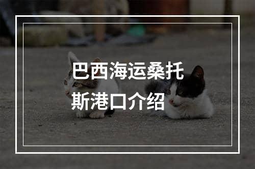 巴西海运桑托斯港口介绍