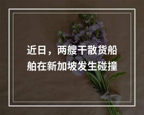 近日，两艘干散货船舶在新加坡发生碰撞