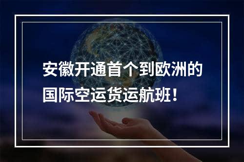 安徽开通首个到欧洲的国际空运货运航班！