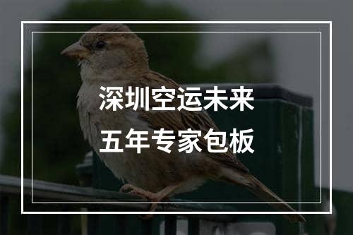 深圳空运未来五年专家包板