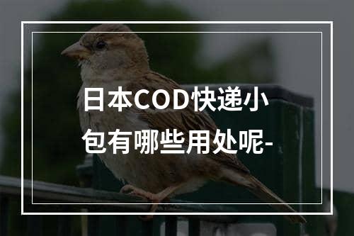 日本COD快递小包有哪些用处呢-