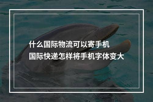 什么国际物流可以寄手机  国际快递怎样将手机字体变大