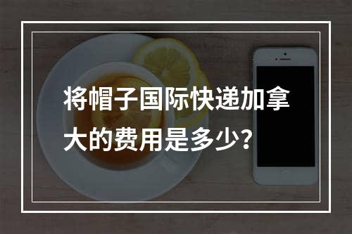 将帽子国际快递加拿大的费用是多少？