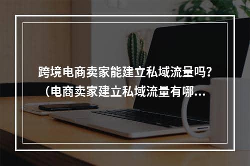 跨境电商卖家能建立私域流量吗？（电商卖家建立私域流量有哪些好处）