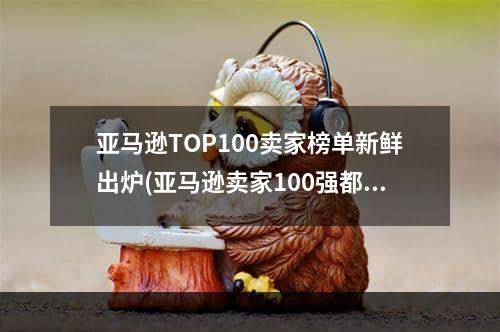 亚马逊TOP100卖家榜单新鲜出炉(亚马逊卖家100强都来自哪些国家)