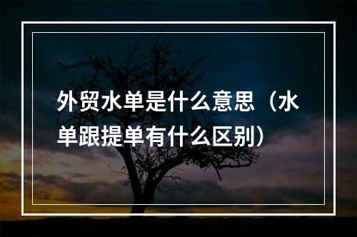 外贸水单是什么意思（水单跟提单有什么区别）