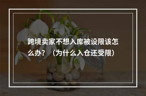 跨境卖家不想入库被设限该怎么办？（为什么入仓还受限）