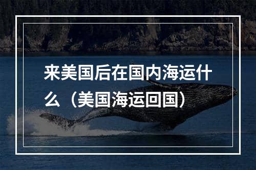 来美国后在国内海运什么（美国海运回国）