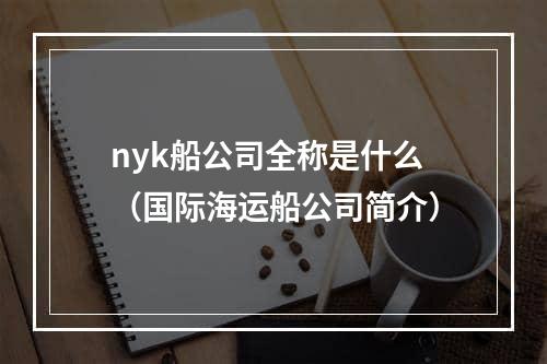 nyk船公司全称是什么（国际海运船公司简介）