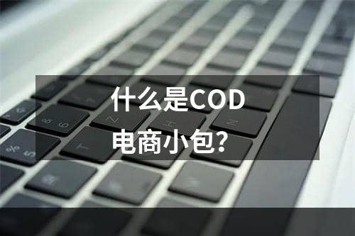 什么是COD电商小包？