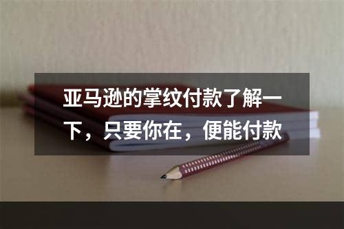 亚马逊的掌纹付款了解一下，只要你在，便能付款