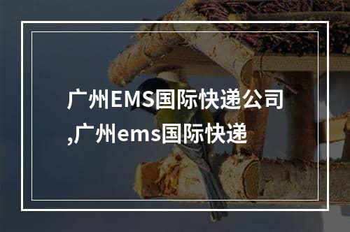 广州EMS国际快递公司,广州ems国际快递