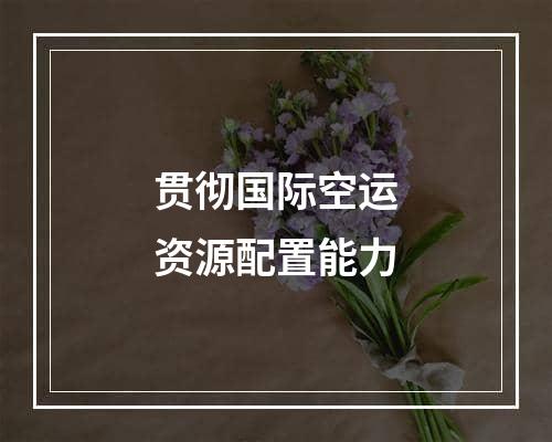 贯彻国际空运资源配置能力