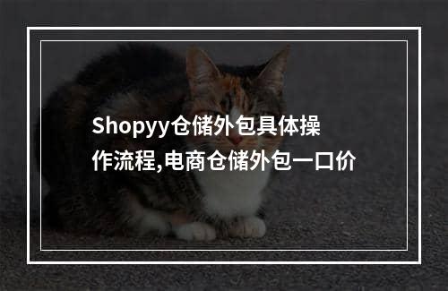 Shopyy仓储外包具体操作流程,电商仓储外包一口价