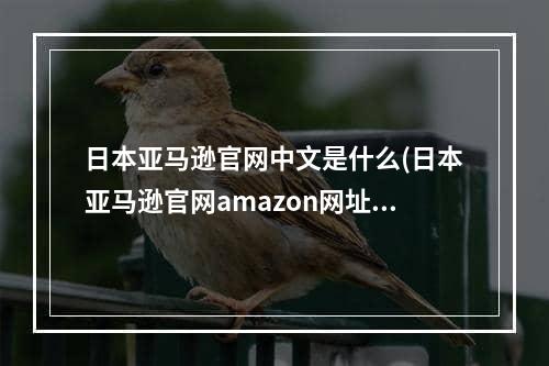 日本亚马逊官网中文是什么(日本亚马逊官网amazon网址)