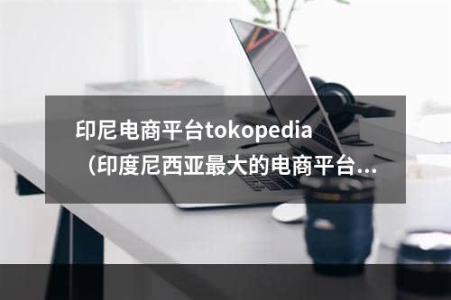 印尼电商平台tokopedia（印度尼西亚最大的电商平台）