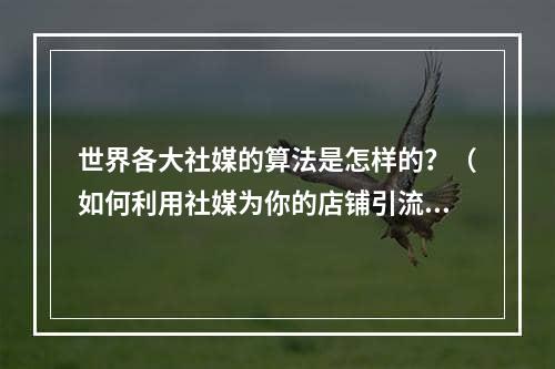 世界各大社媒的算法是怎样的？（如何利用社媒为你的店铺引流）