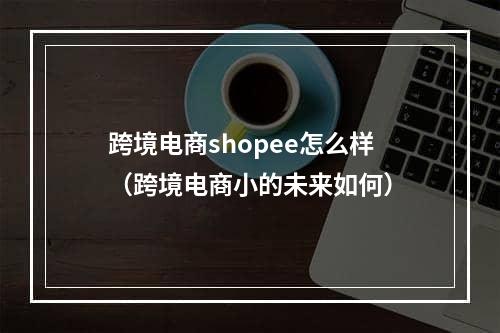 跨境电商shopee怎么样（跨境电商小的未来如何）