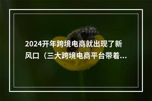 2024开年跨境电商就出现了新风口（三大跨境电商平台带着自家推出模式）