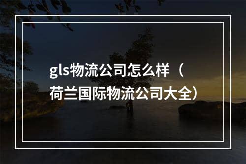 gls物流公司怎么样（荷兰国际物流公司大全）