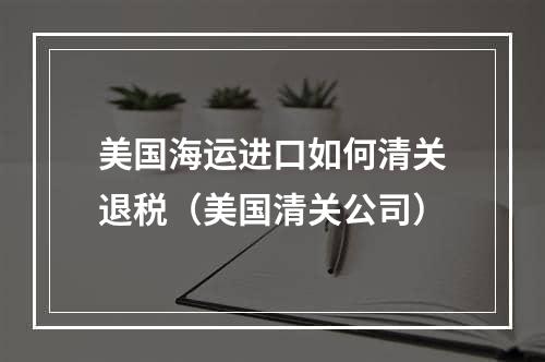 美国海运进口如何清关退税（美国清关公司）