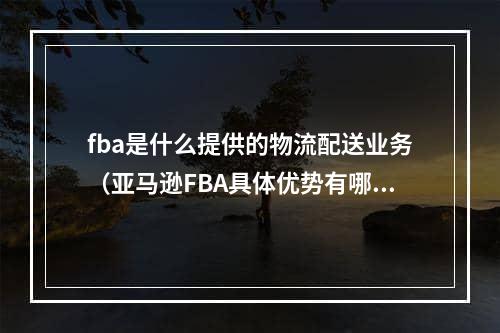 fba是什么提供的物流配送业务（亚马逊FBA具体优势有哪些）