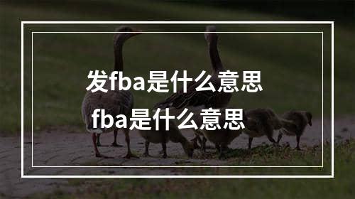 发fba是什么意思  fba是什么意思