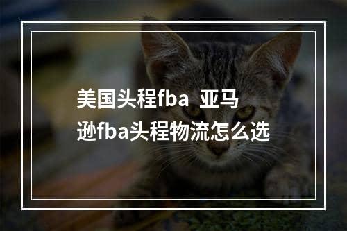 美国头程fba  亚马逊fba头程物流怎么选