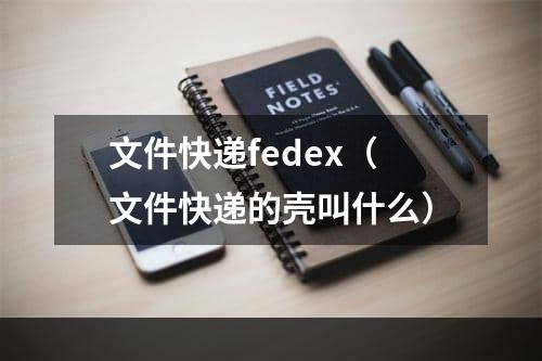 文件快递fedex（文件快递的壳叫什么）