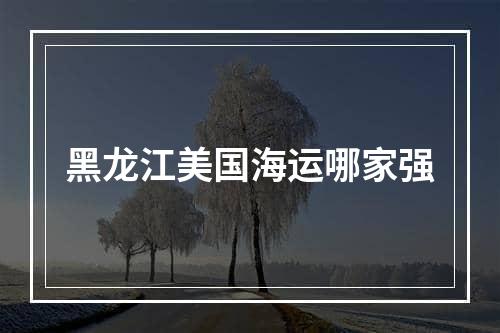 黑龙江美国海运哪家强