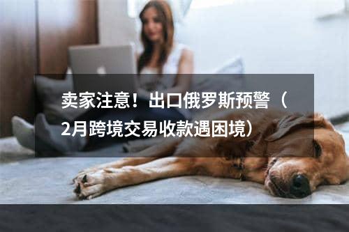 卖家注意！出口俄罗斯预警（2月跨境交易收款遇困境）