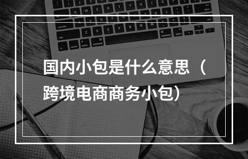 国内小包是什么意思（跨境电商商务小包）