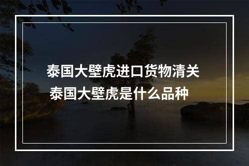 泰国大壁虎进口货物清关  泰国大壁虎是什么品种