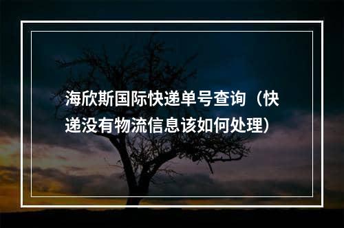 海欣斯国际快递单号查询（快递没有物流信息该如何处理）